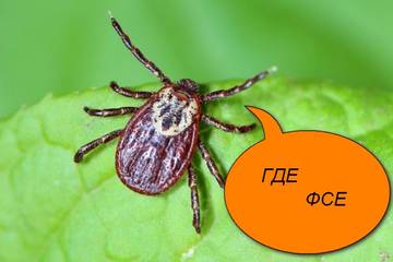 https://upforme.ru/uploads/0013/fc/6b/6/t550747.jpg