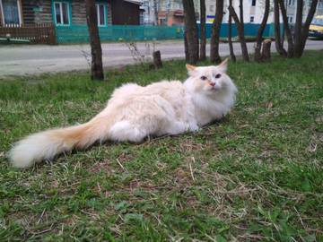 https://upforme.ru/uploads/0013/fc/6b/6/t950014.jpg