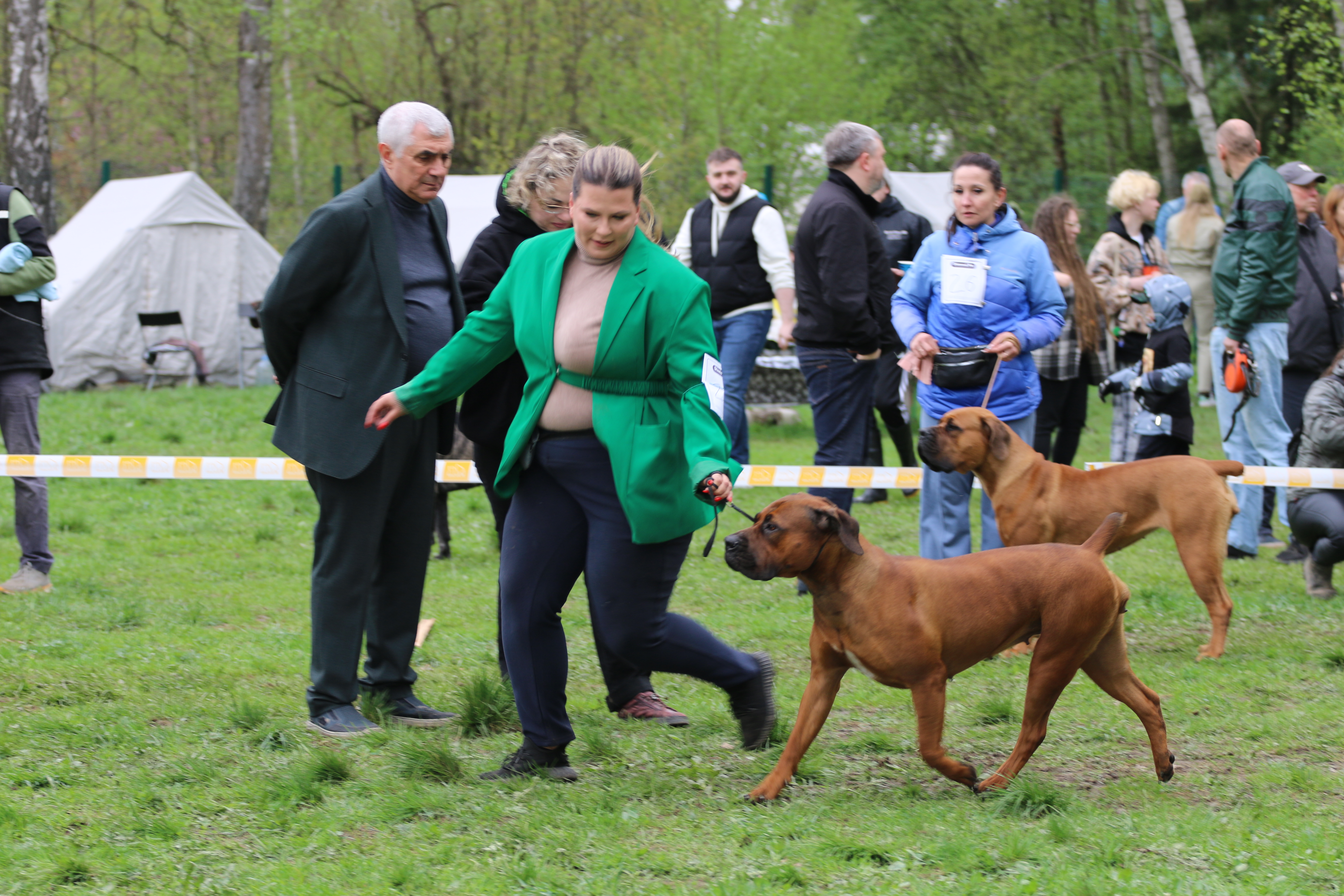 https://upforme.ru/uploads/0014/0b/48/2/140940.jpg