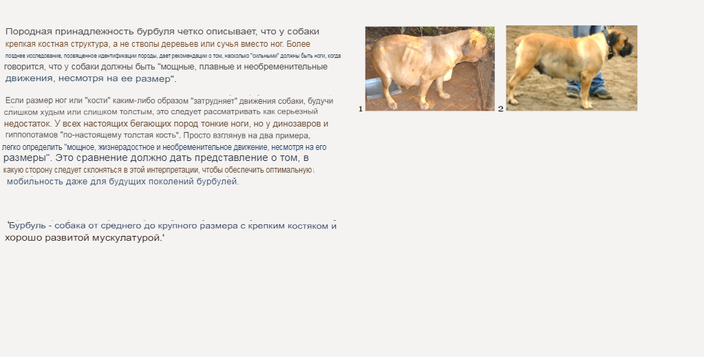https://upforme.ru/uploads/0014/0b/48/2/143511.jpg