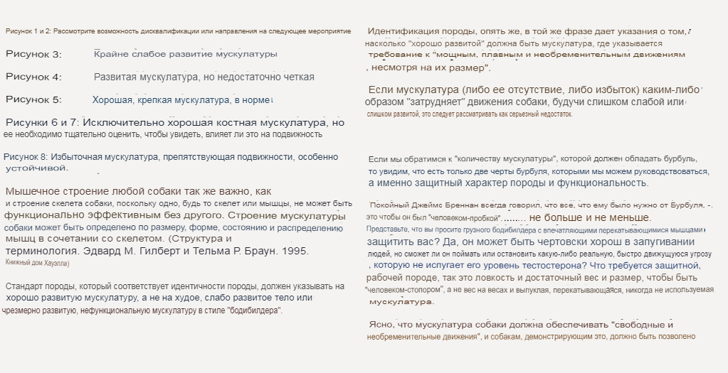 https://upforme.ru/uploads/0014/0b/48/2/215449.jpg