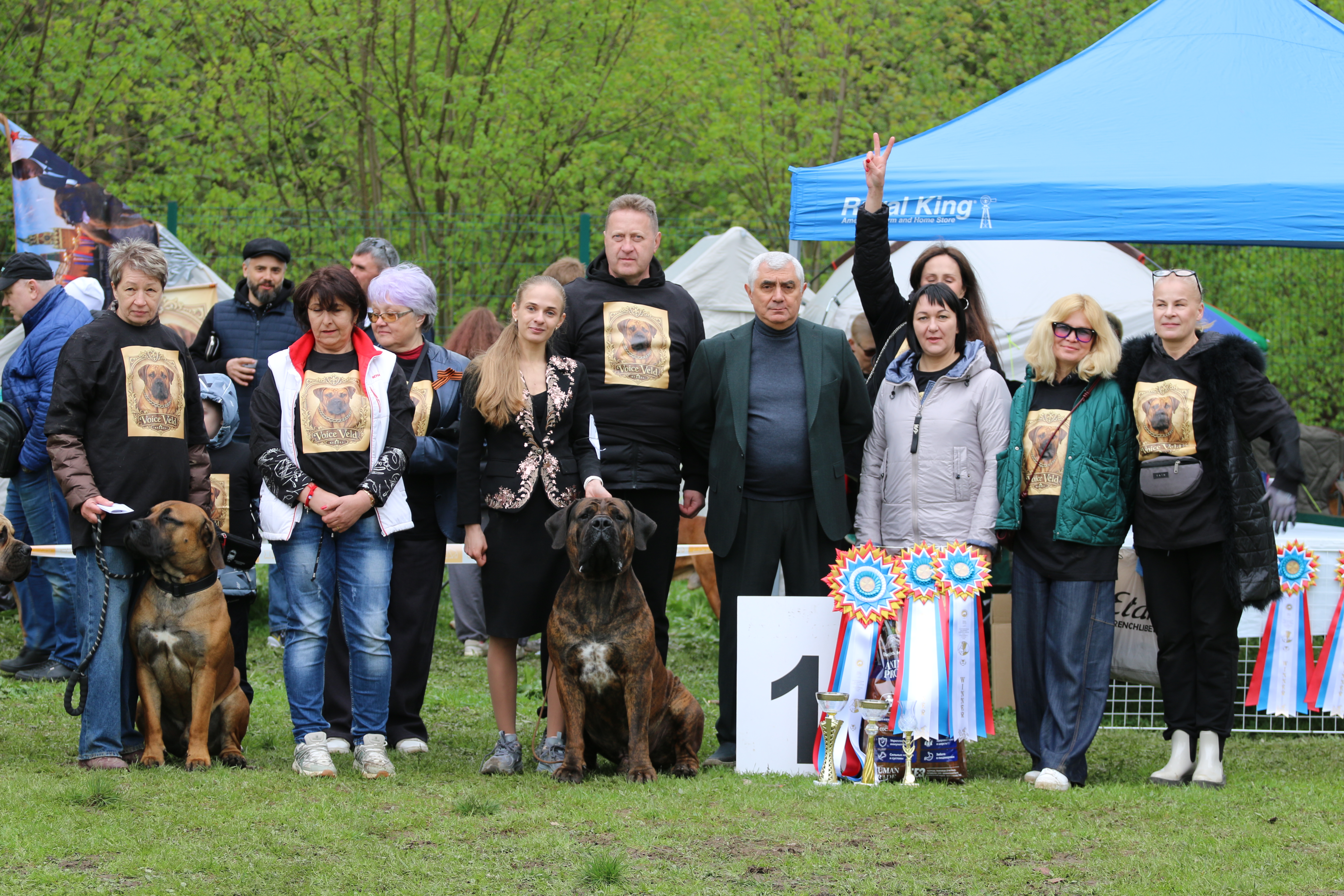 https://upforme.ru/uploads/0014/0b/48/2/287029.jpg