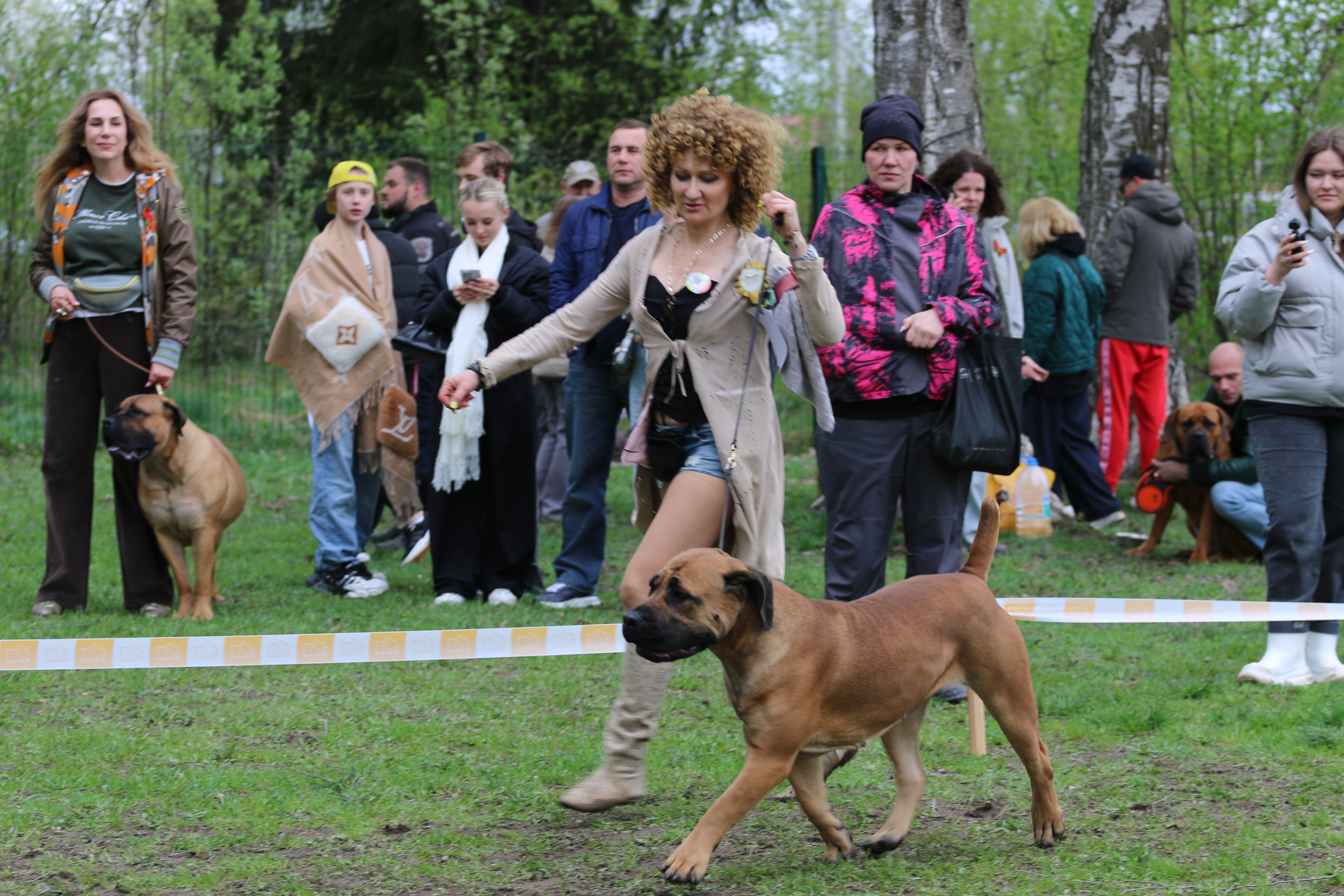 https://upforme.ru/uploads/0014/0b/48/2/458259.jpg