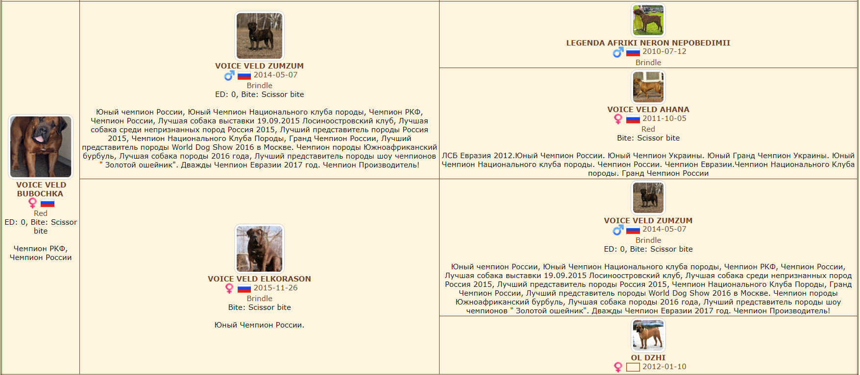 https://upforme.ru/uploads/0014/0b/48/2/464539.png