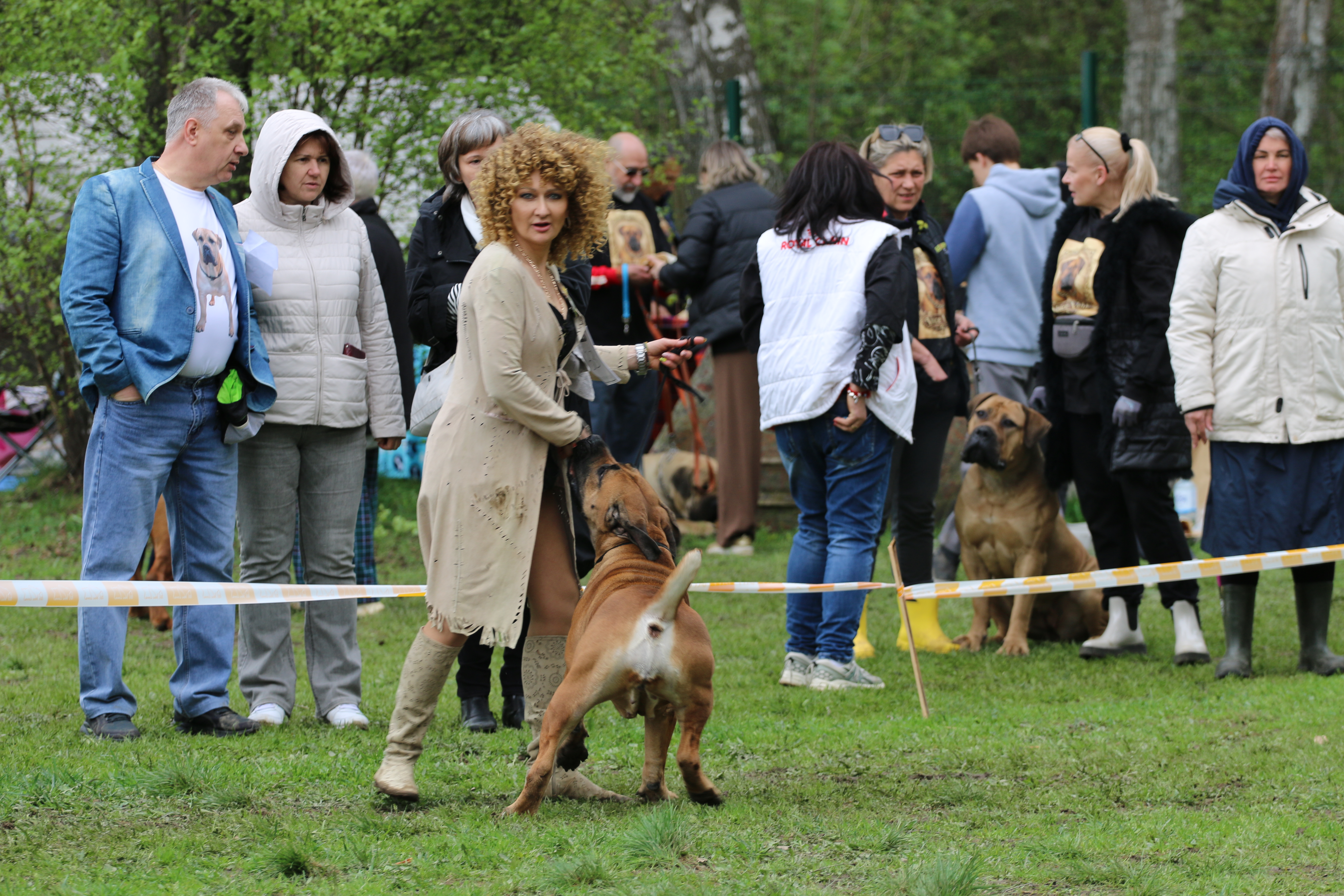 https://upforme.ru/uploads/0014/0b/48/2/54547.jpg