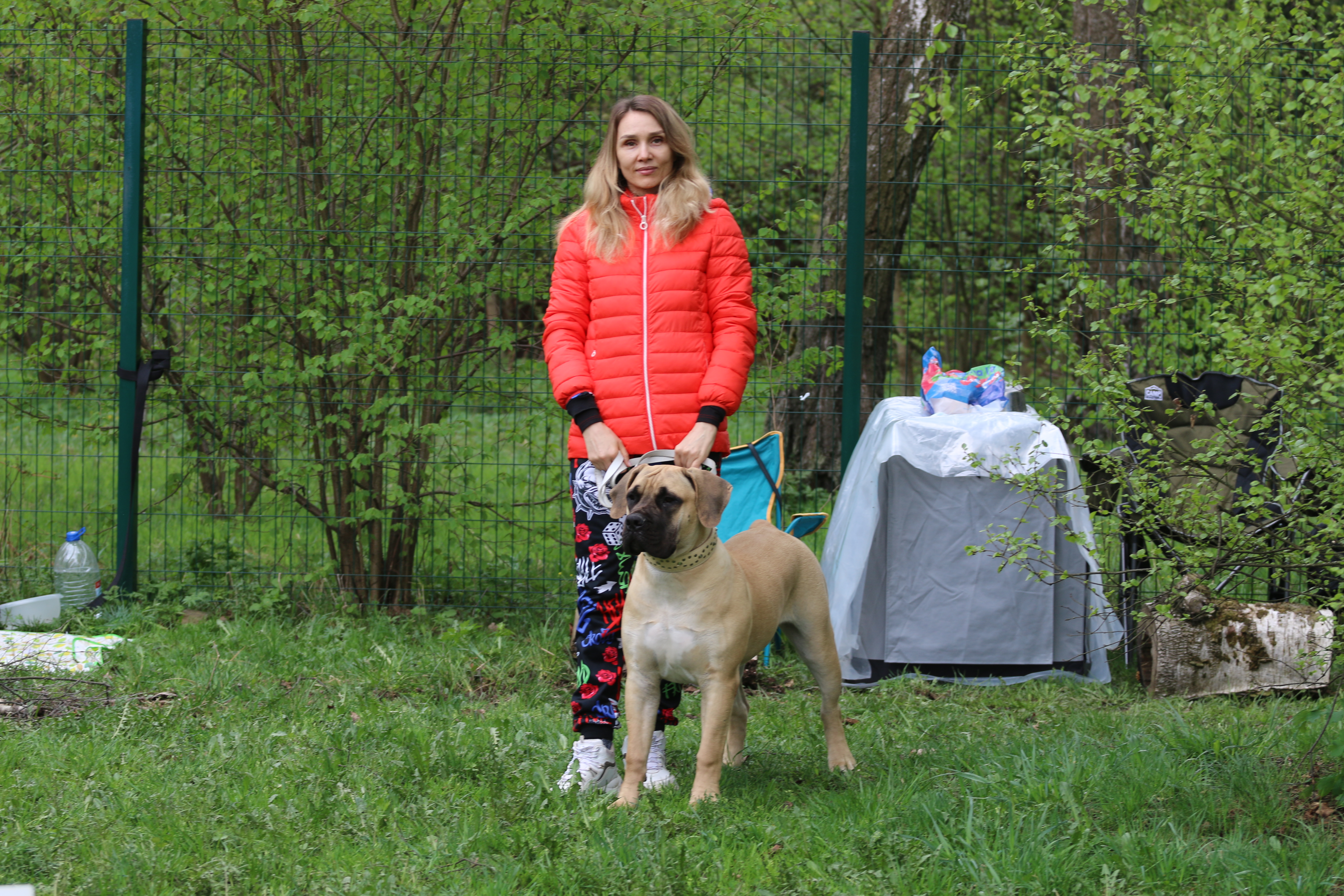 https://upforme.ru/uploads/0014/0b/48/2/596066.jpg
