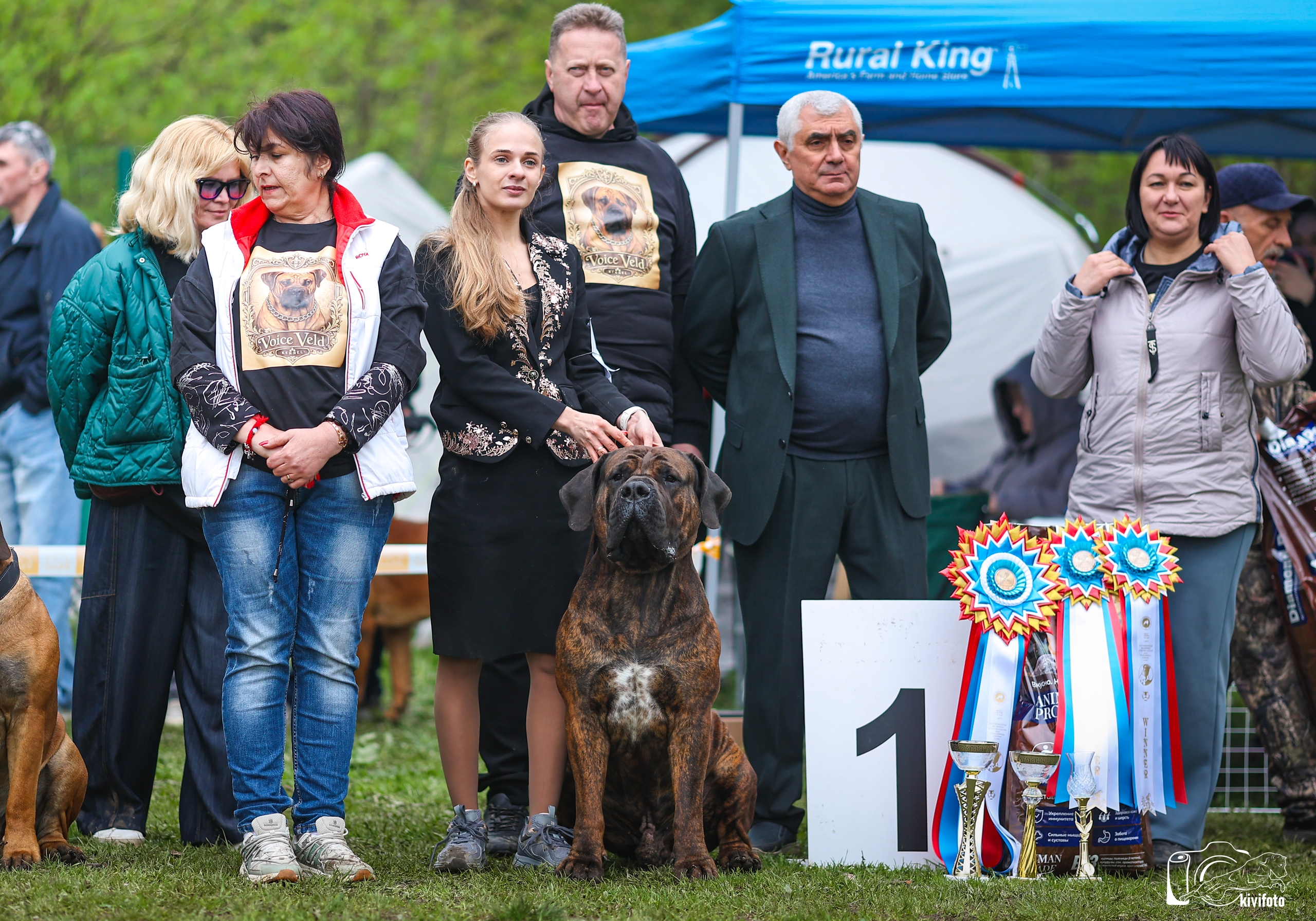 https://upforme.ru/uploads/0014/0b/48/2/610241.jpg
