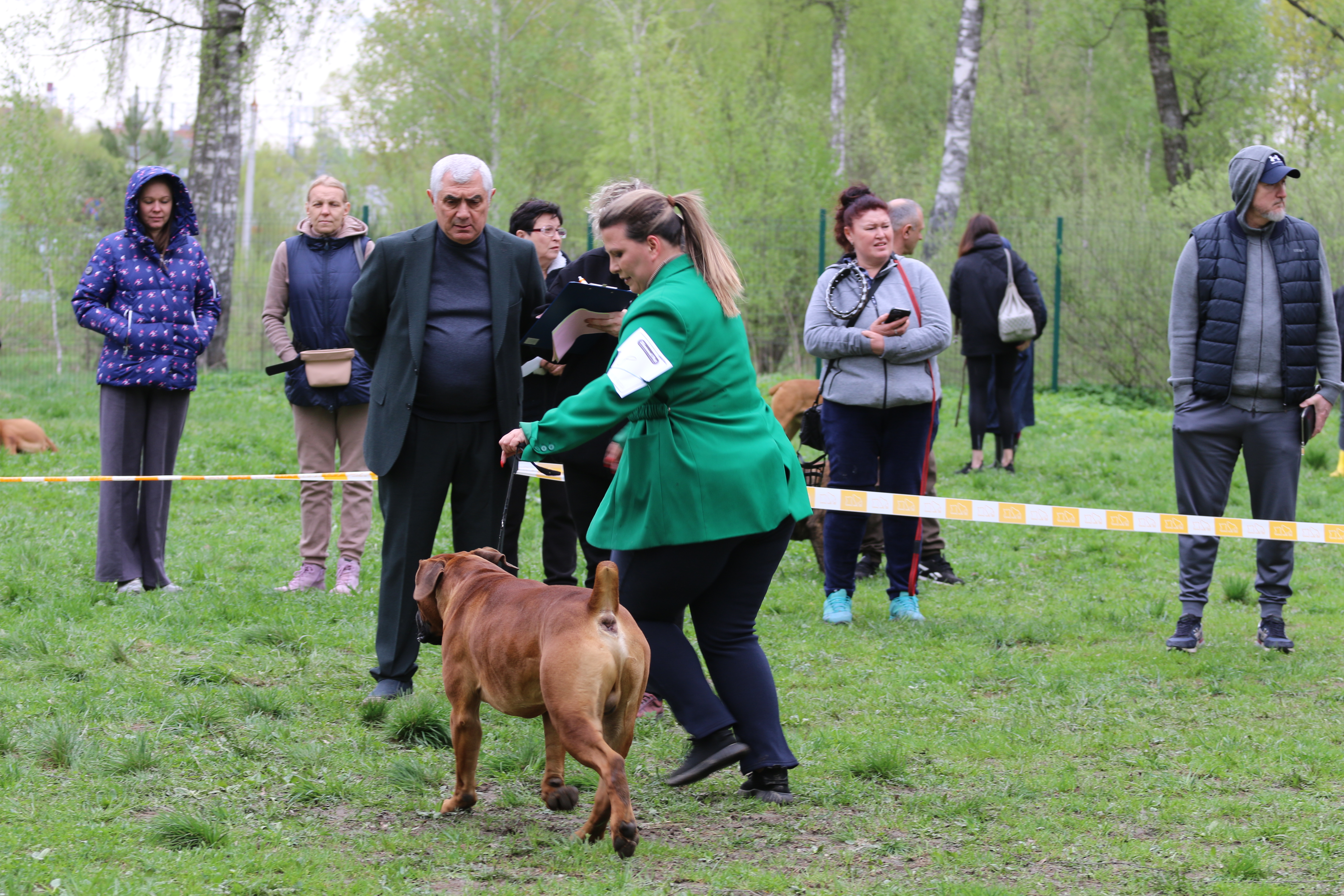 https://upforme.ru/uploads/0014/0b/48/2/615576.jpg