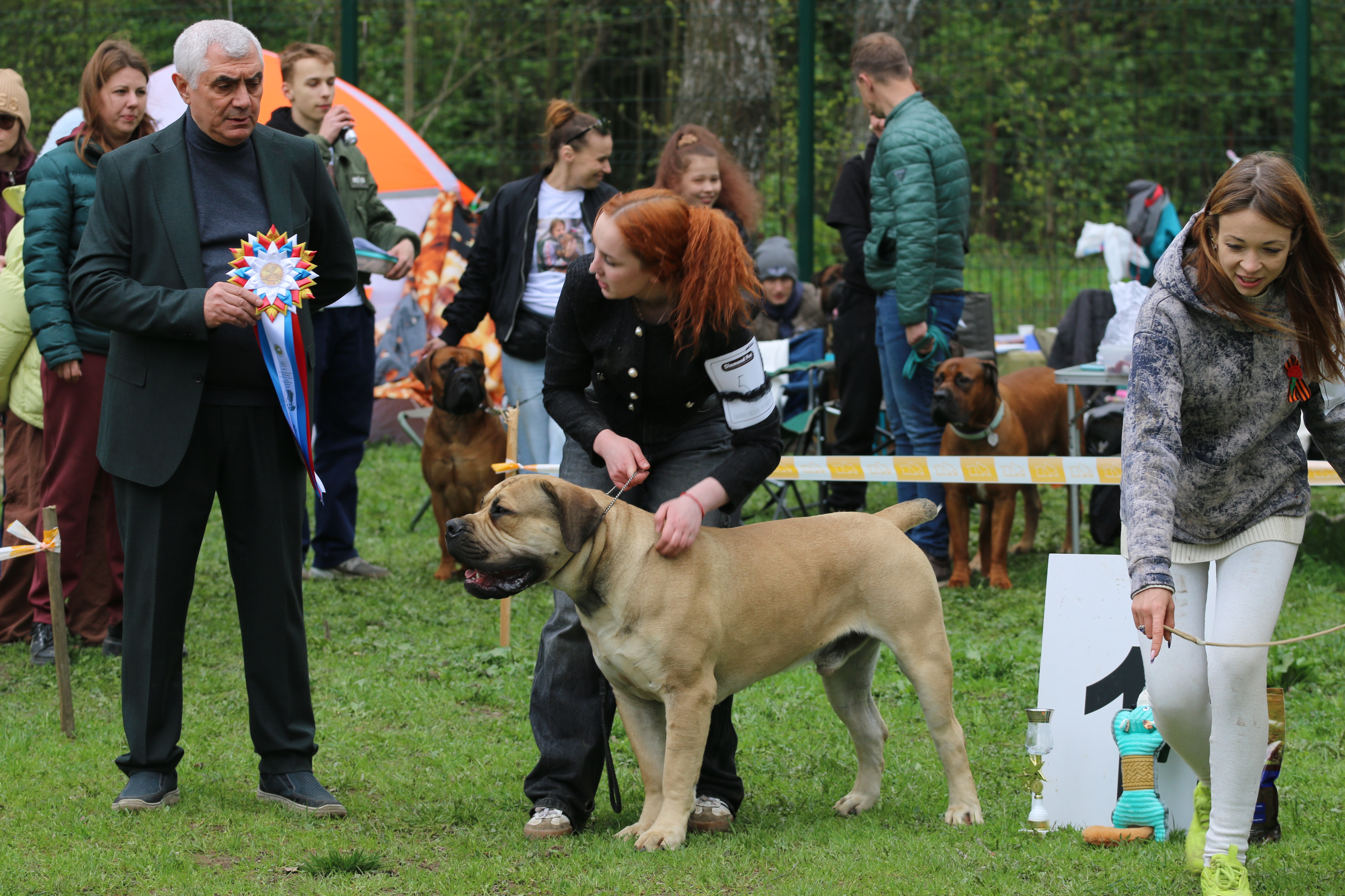 https://upforme.ru/uploads/0014/0b/48/2/620158.jpg