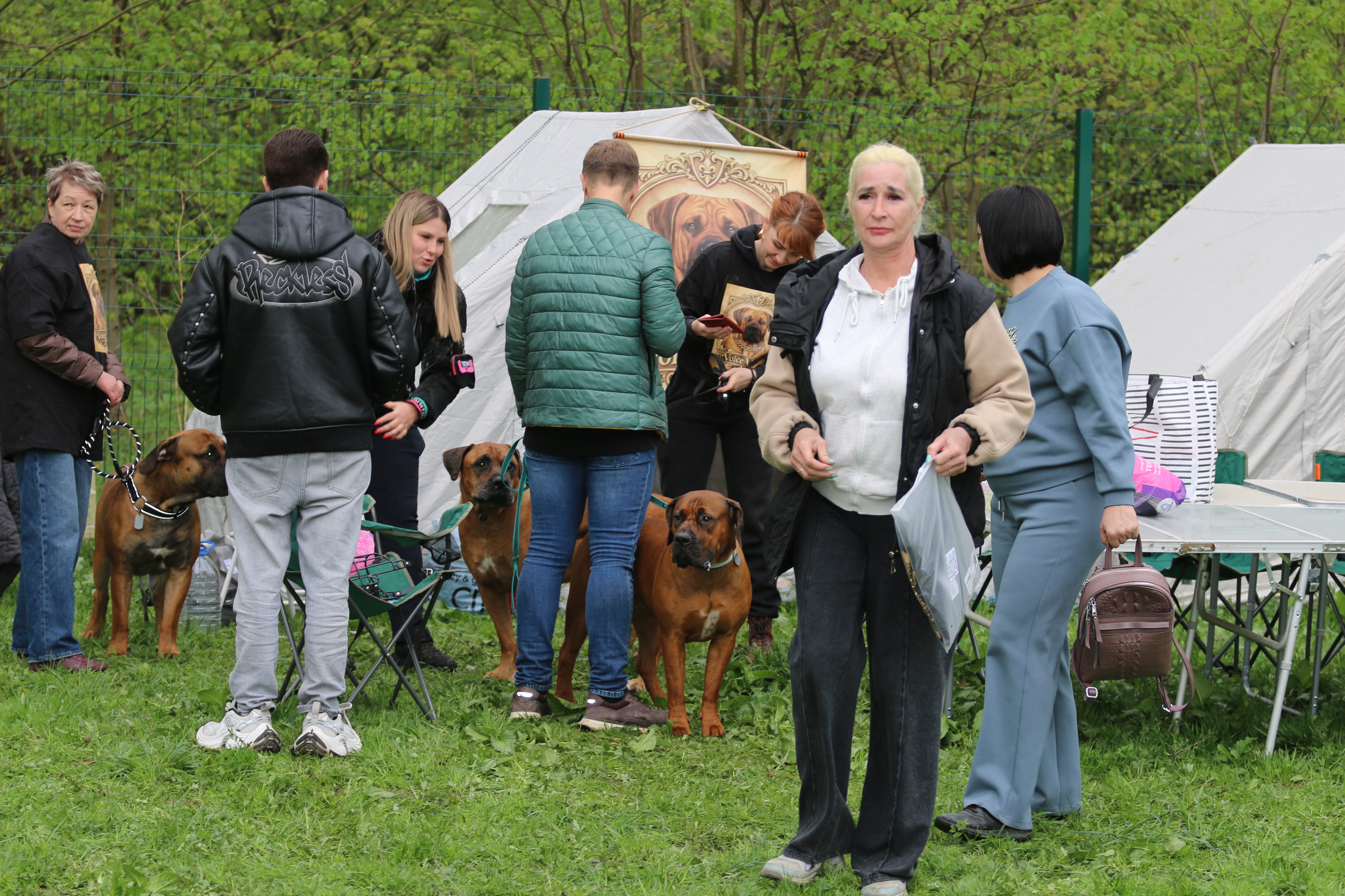 https://upforme.ru/uploads/0014/0b/48/2/635796.jpg
