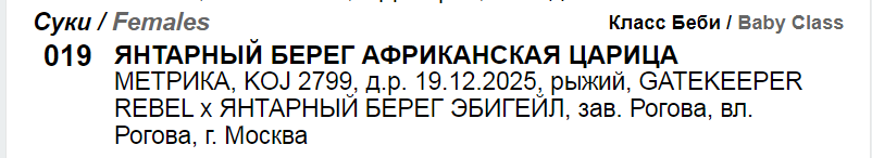 https://upforme.ru/uploads/0014/0b/48/2/641559.png