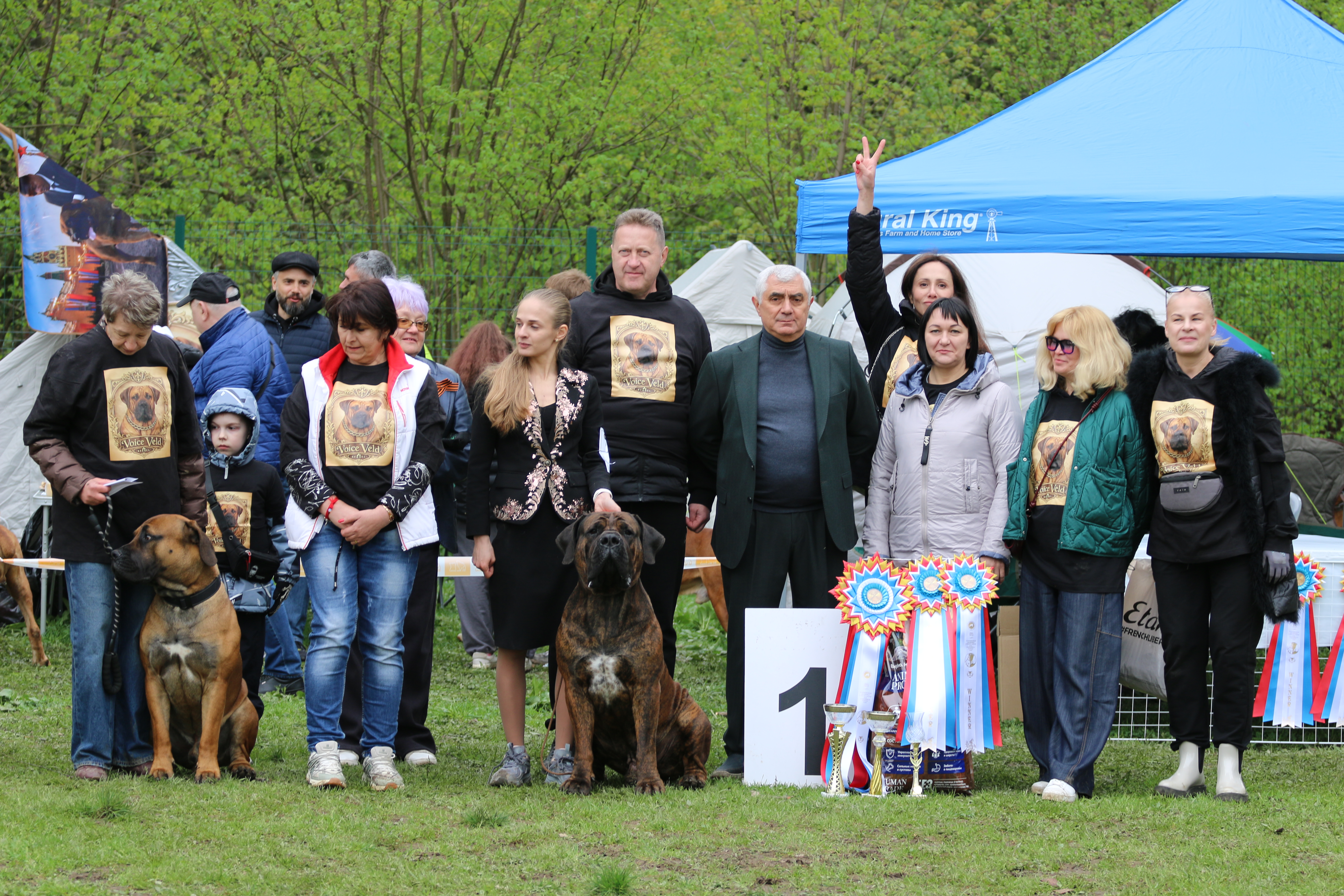https://upforme.ru/uploads/0014/0b/48/2/672863.jpg
