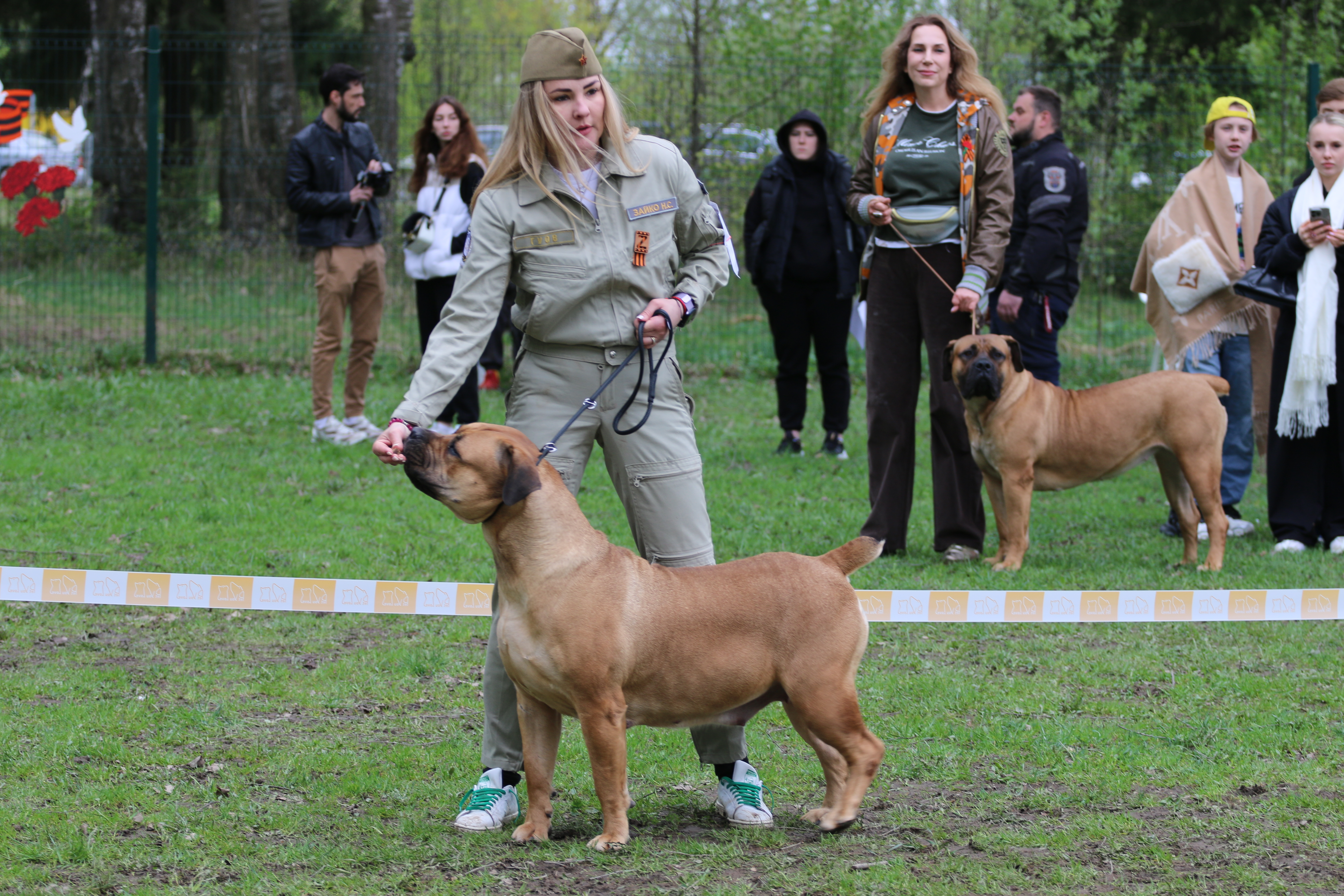 https://upforme.ru/uploads/0014/0b/48/2/704685.jpg
