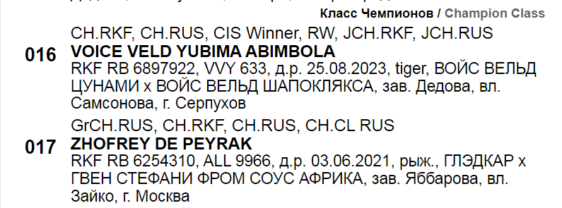 https://upforme.ru/uploads/0014/0b/48/2/707004.png