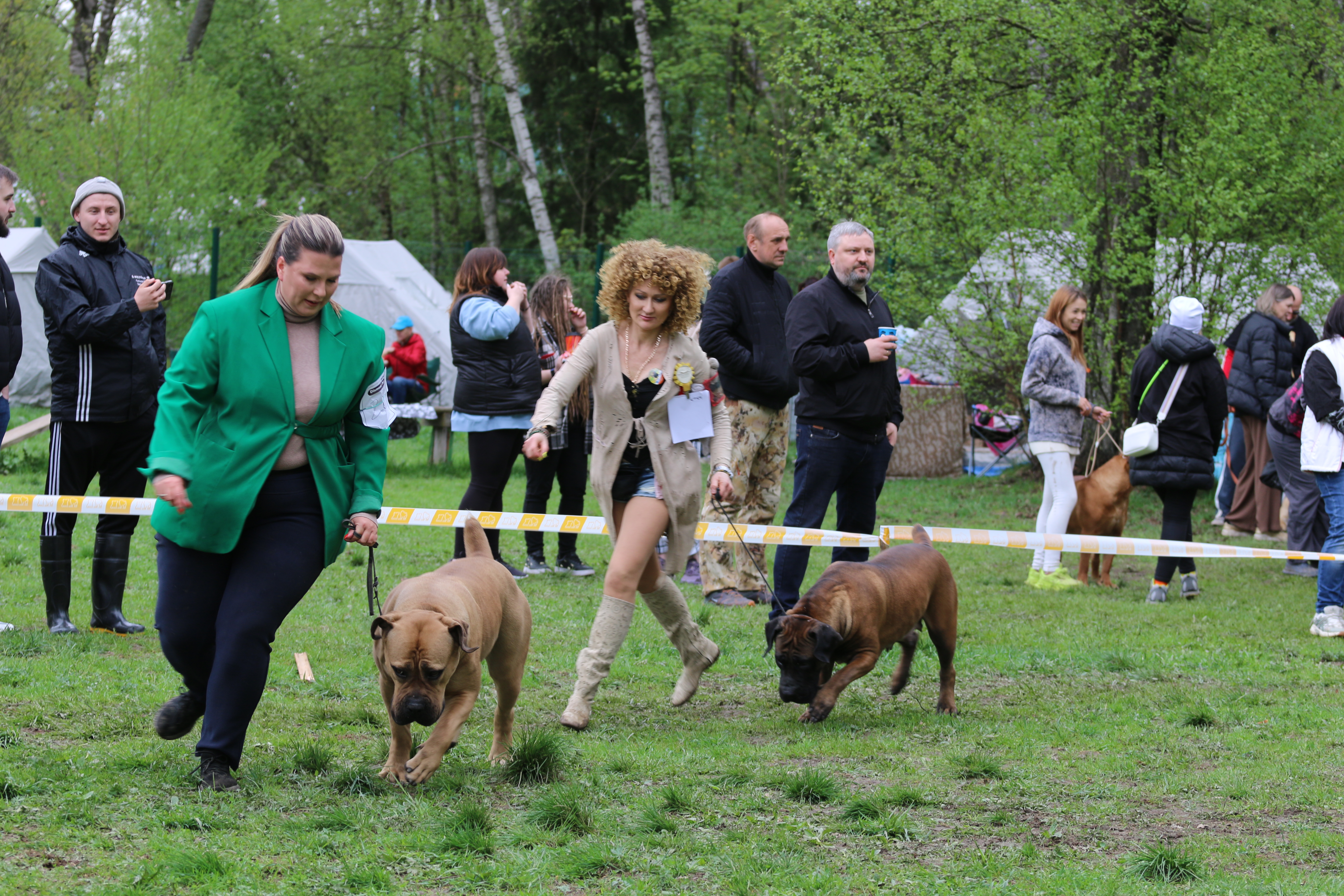 https://upforme.ru/uploads/0014/0b/48/2/783727.jpg