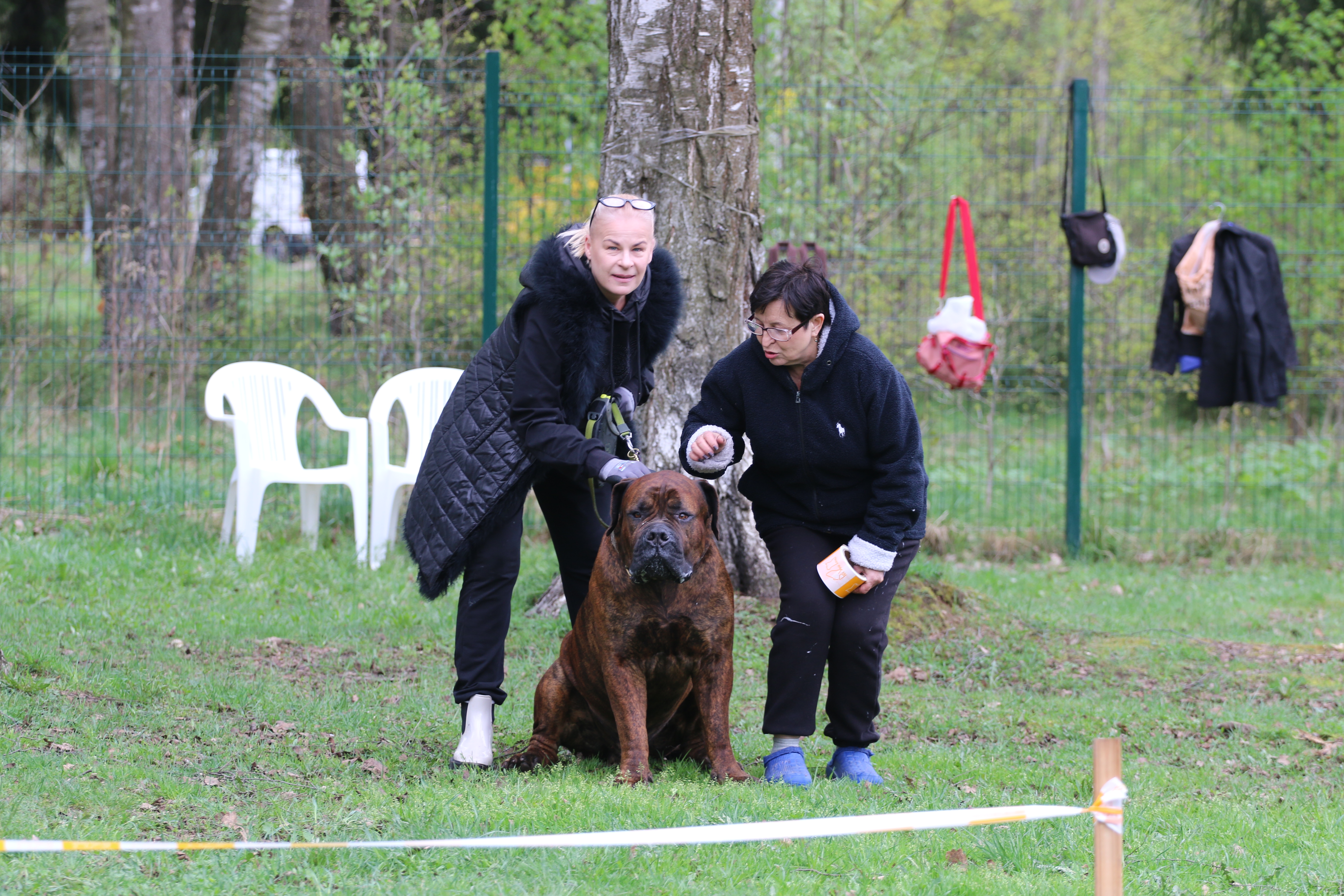 https://upforme.ru/uploads/0014/0b/48/2/845106.jpg