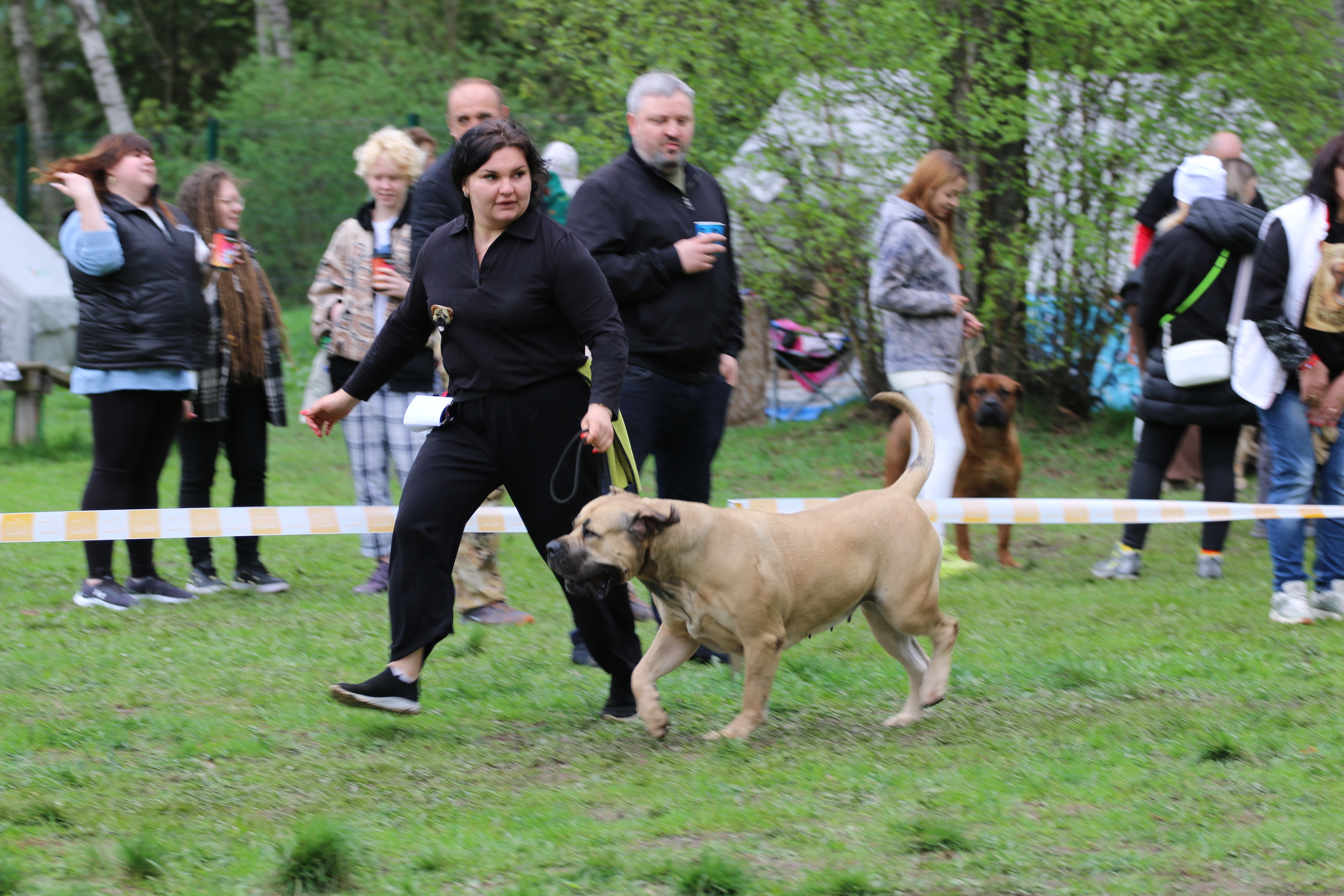 https://upforme.ru/uploads/0014/0b/48/2/852704.jpg