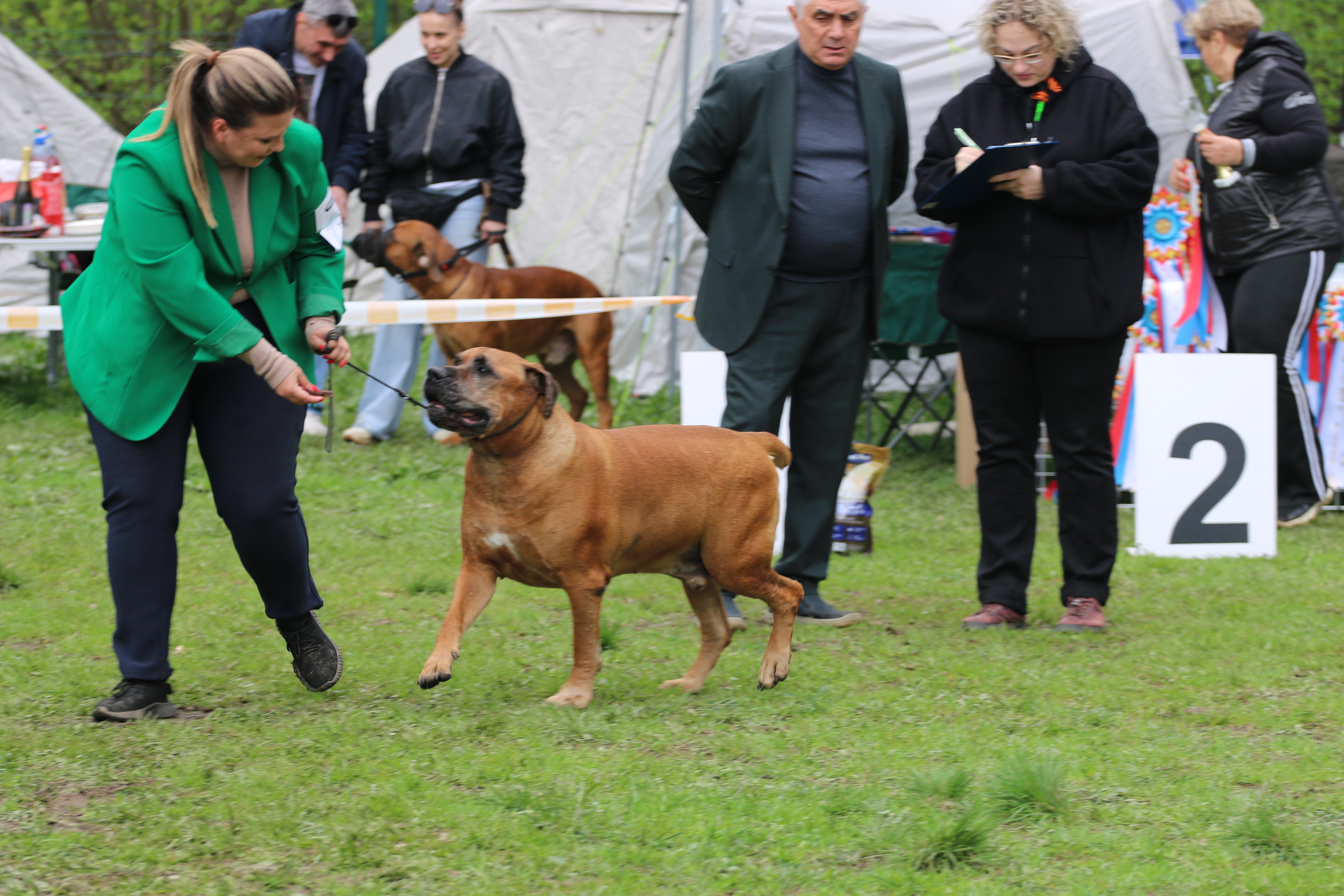 https://upforme.ru/uploads/0014/0b/48/2/867849.jpg