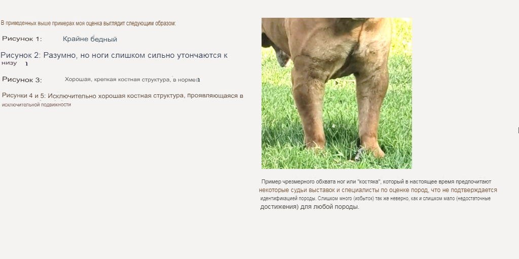 https://upforme.ru/uploads/0014/0b/48/2/886064.jpg