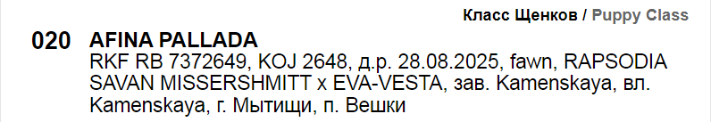 https://upforme.ru/uploads/0014/0b/48/2/904349.png