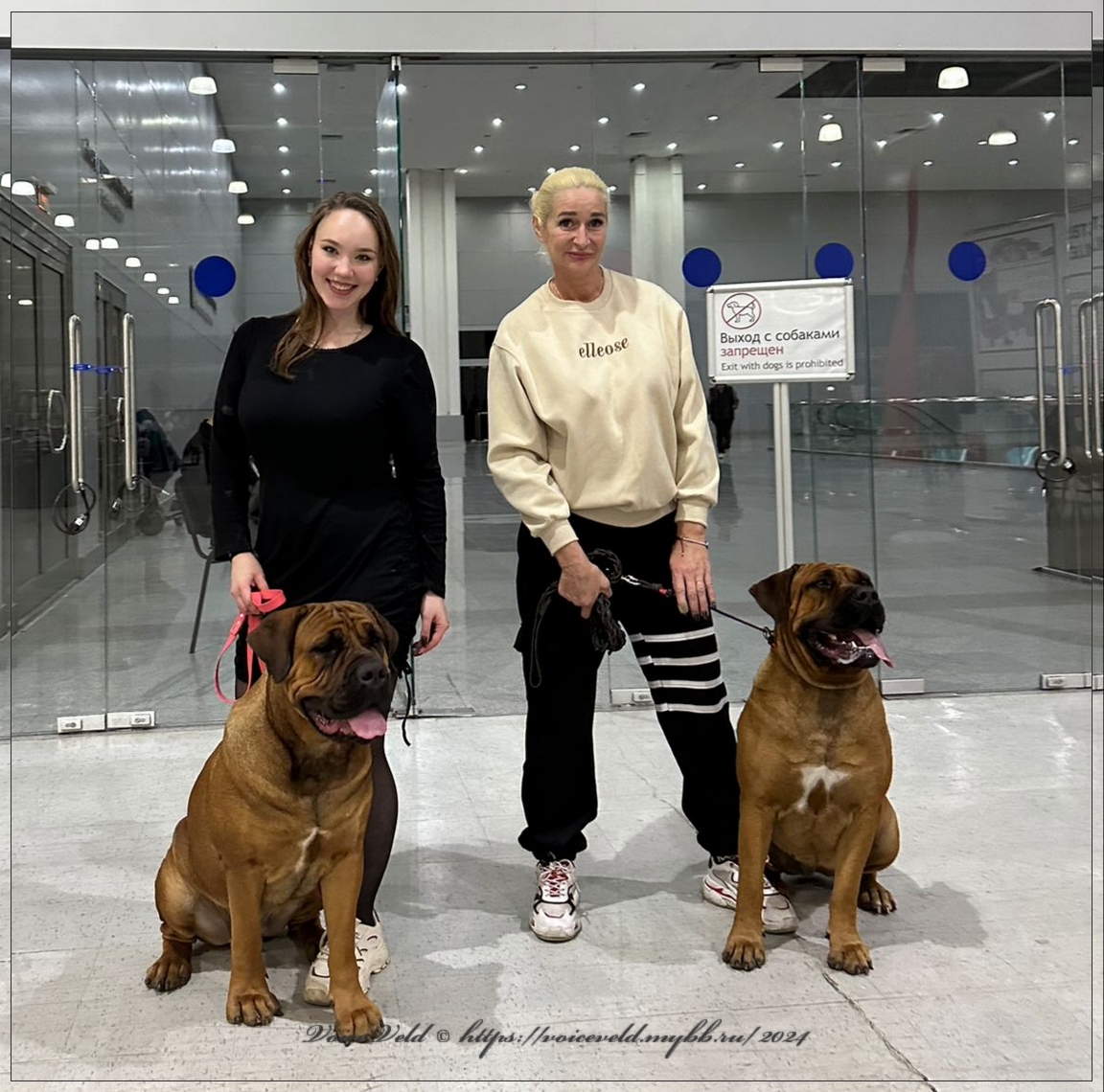 https://upforme.ru/uploads/0014/0b/48/2/920621.jpg