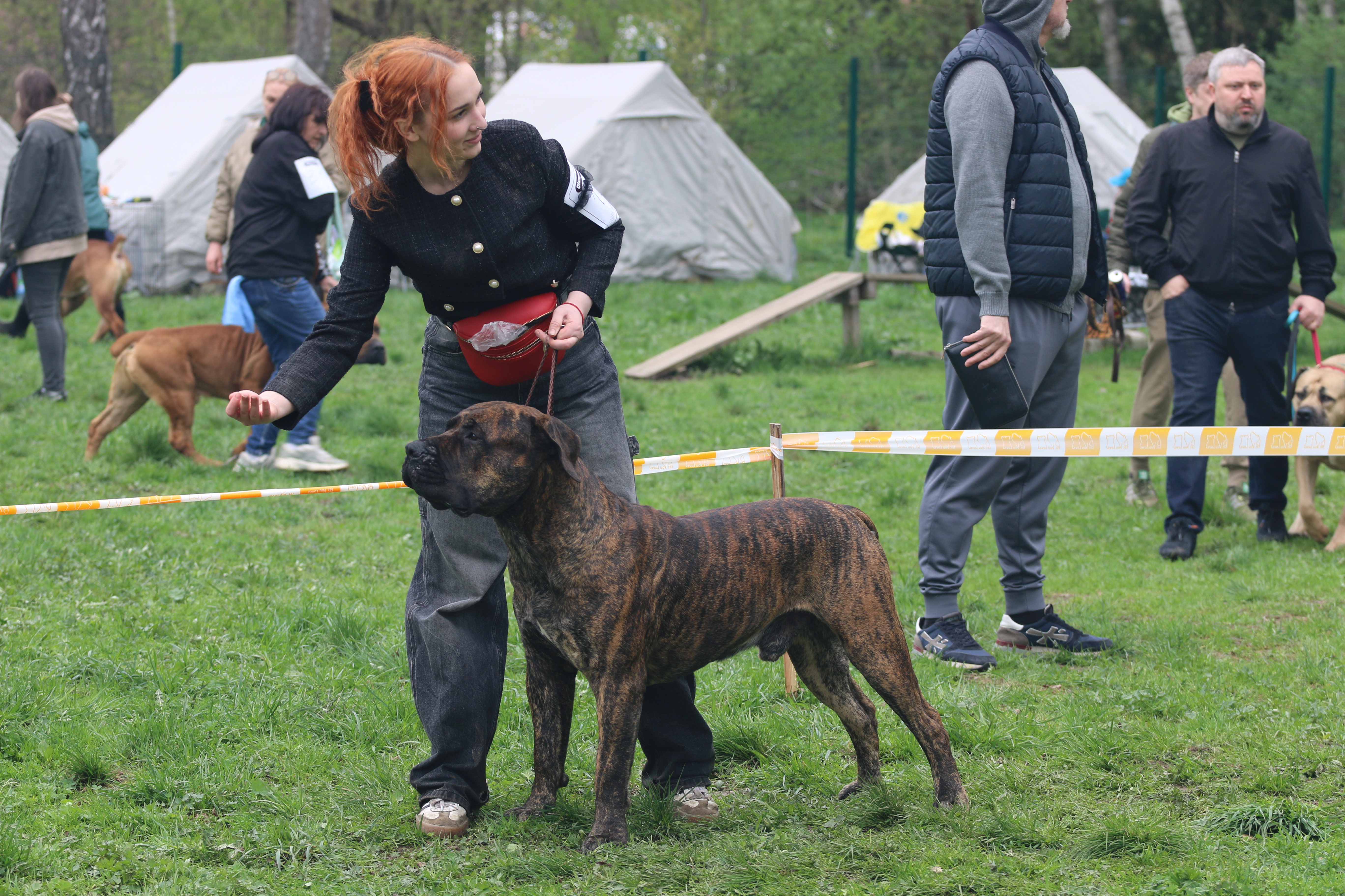 https://upforme.ru/uploads/0014/0b/48/2/947261.jpg