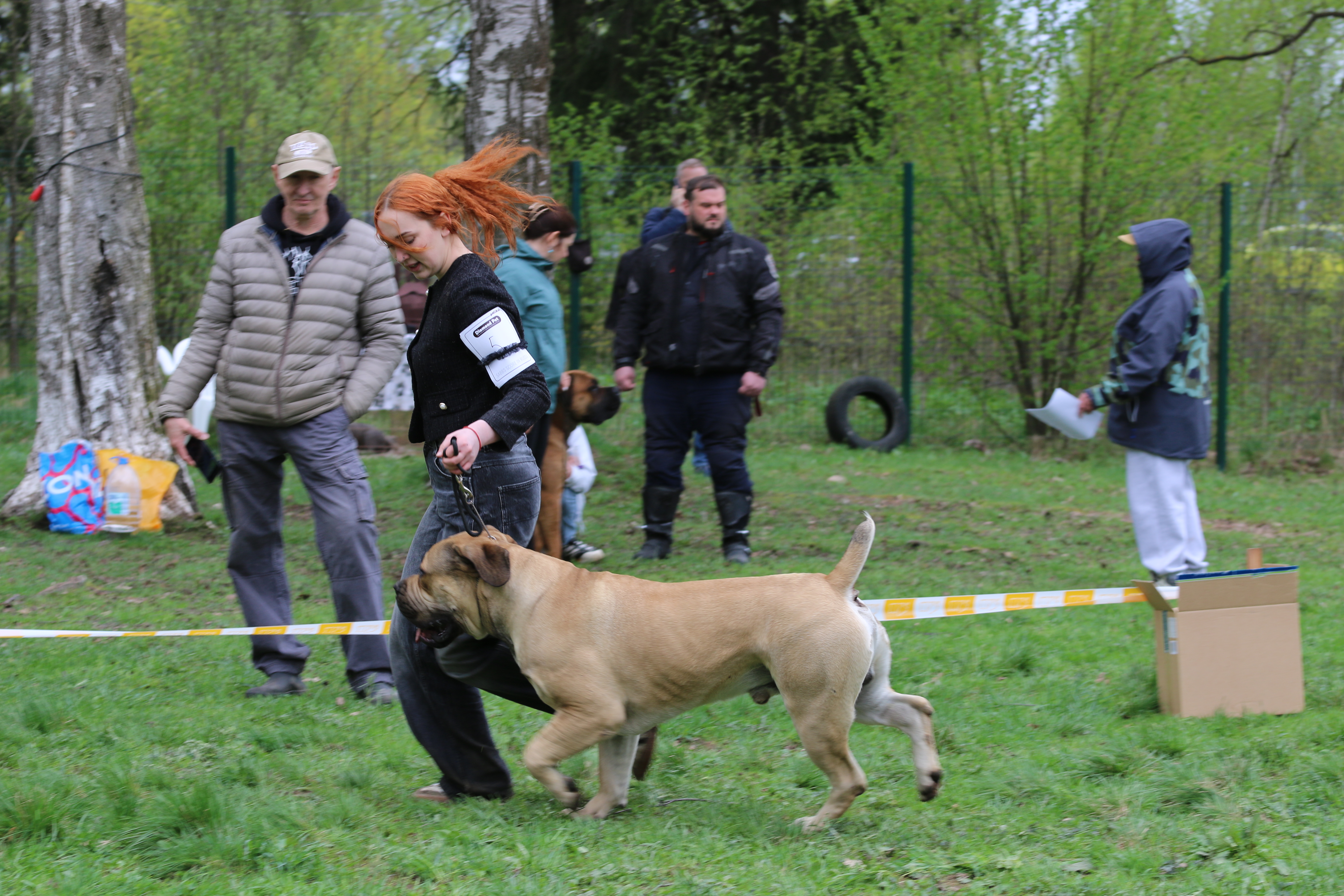 https://upforme.ru/uploads/0014/0b/48/2/967579.jpg