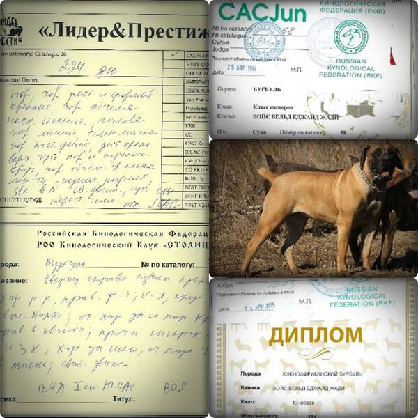https://upforme.ru/uploads/0014/0b/48/2/t119760.jpg