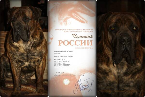 https://upforme.ru/uploads/0014/0b/48/2/t120586.jpg