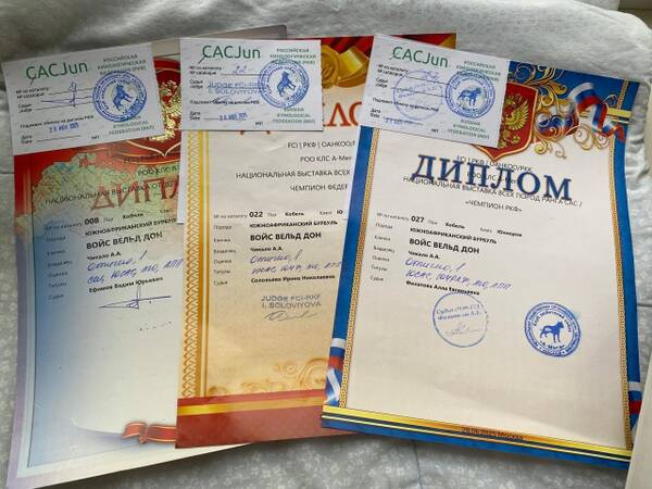 https://upforme.ru/uploads/0014/0b/48/2/t137317.jpg