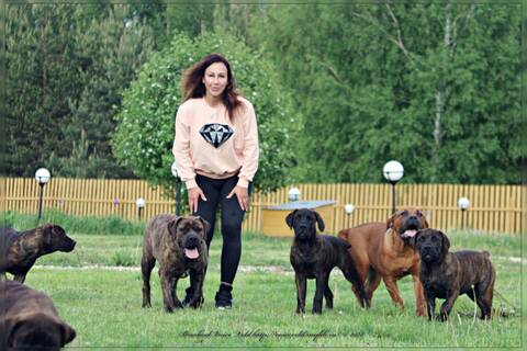 https://upforme.ru/uploads/0014/0b/48/2/t158065.jpg