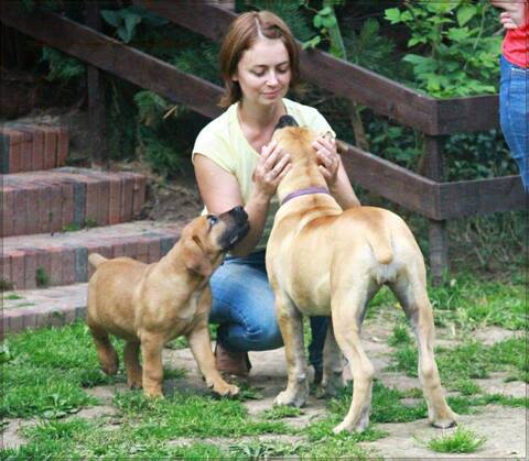 https://upforme.ru/uploads/0014/0b/48/2/t200878.jpg