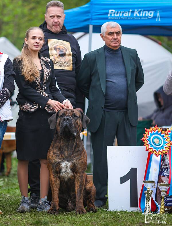 https://upforme.ru/uploads/0014/0b/48/2/t21046.jpg