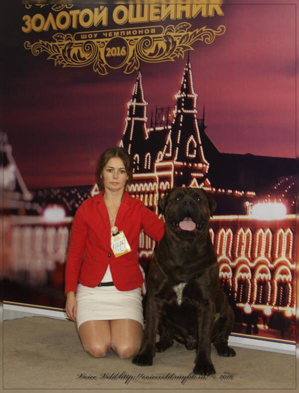 https://upforme.ru/uploads/0014/0b/48/2/t232738.jpg