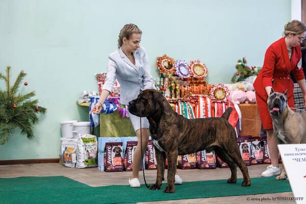 https://upforme.ru/uploads/0014/0b/48/2/t235609.jpg