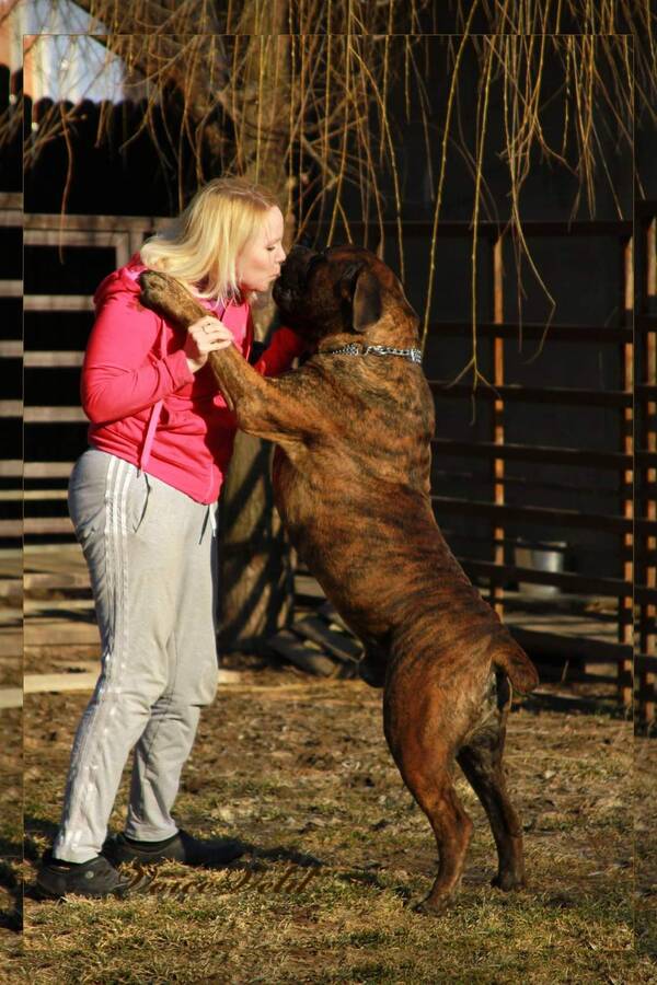 https://upforme.ru/uploads/0014/0b/48/2/t273799.jpg