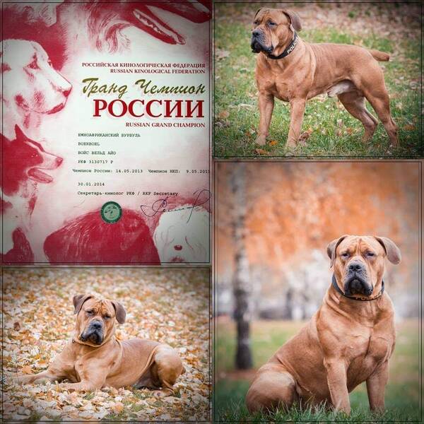 https://upforme.ru/uploads/0014/0b/48/2/t274325.jpg