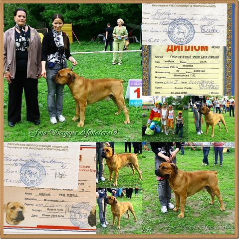 https://upforme.ru/uploads/0014/0b/48/2/t277578.jpg