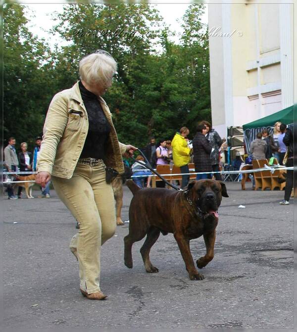 https://upforme.ru/uploads/0014/0b/48/2/t291726.jpg
