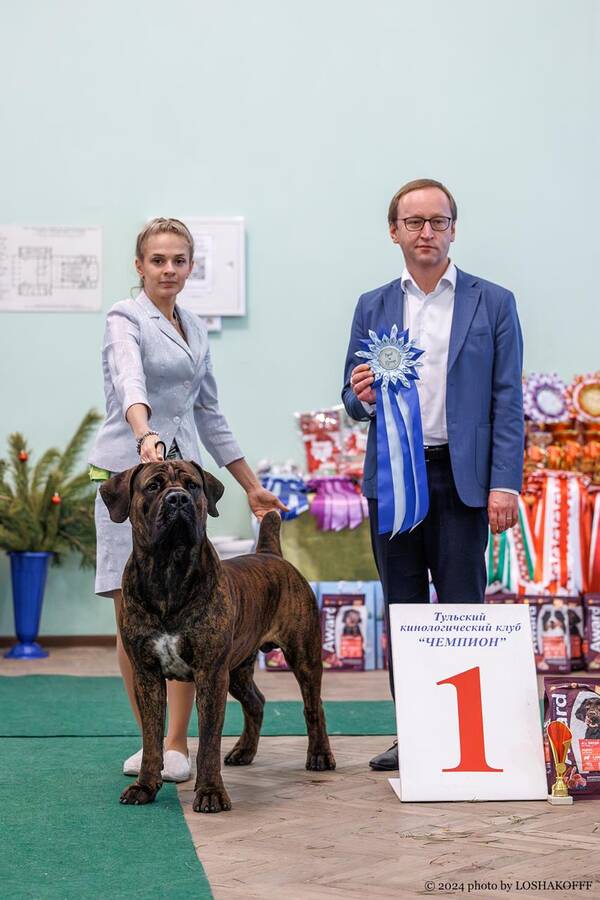 https://upforme.ru/uploads/0014/0b/48/2/t291965.jpg