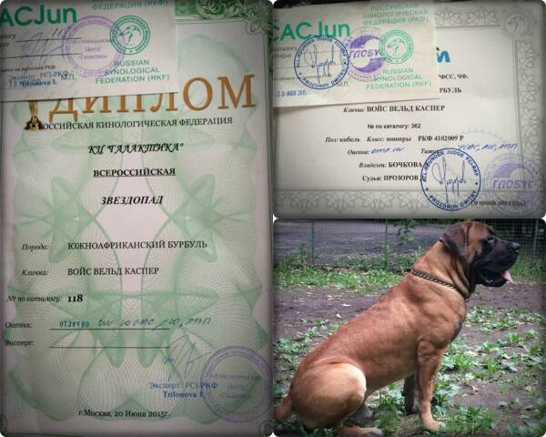 https://upforme.ru/uploads/0014/0b/48/2/t299245.jpg