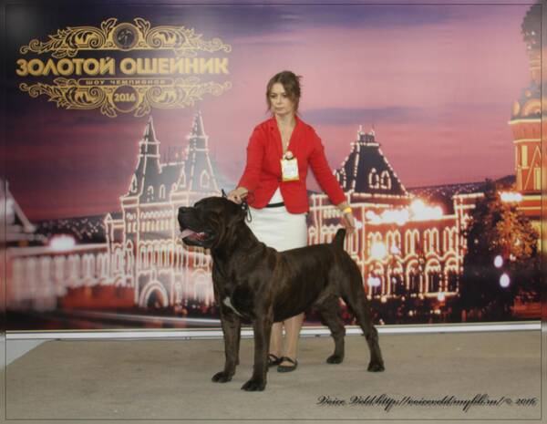https://upforme.ru/uploads/0014/0b/48/2/t301904.jpg
