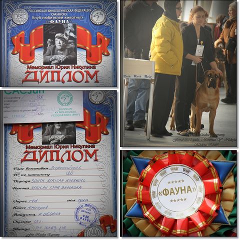 https://upforme.ru/uploads/0014/0b/48/2/t314184.jpg