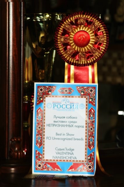 https://upforme.ru/uploads/0014/0b/48/2/t326515.jpg