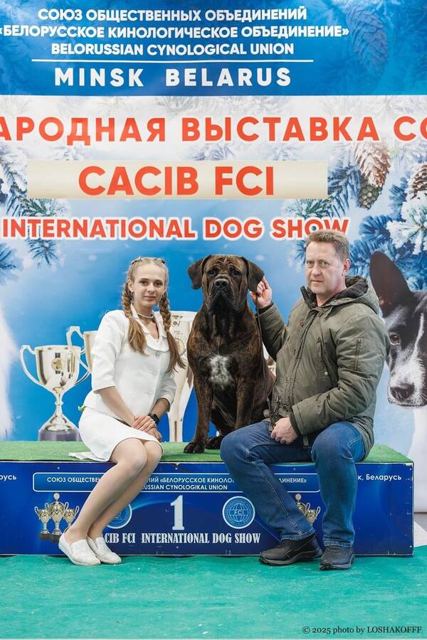 https://upforme.ru/uploads/0014/0b/48/2/t331313.jpg