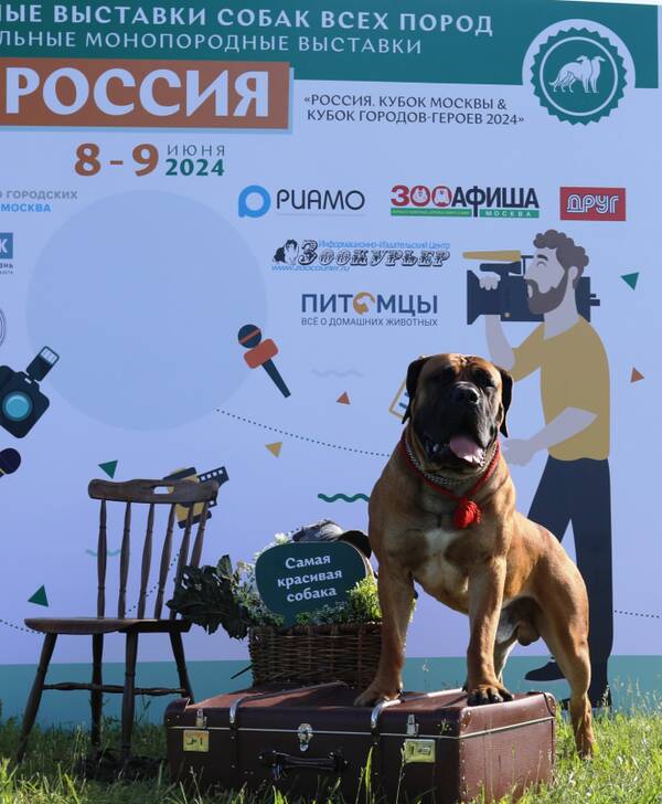 https://upforme.ru/uploads/0014/0b/48/2/t340588.jpg