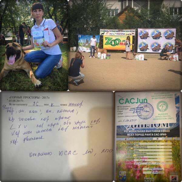 https://upforme.ru/uploads/0014/0b/48/2/t388493.jpg