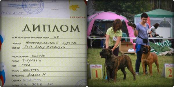 https://upforme.ru/uploads/0014/0b/48/2/t419783.jpg