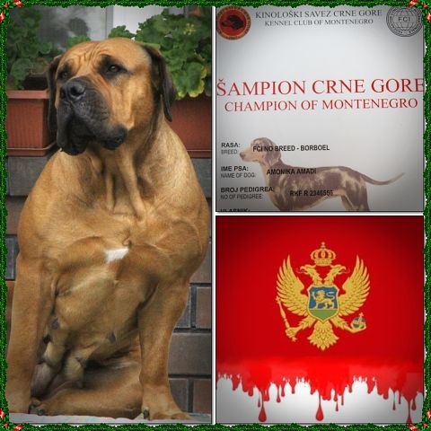 https://upforme.ru/uploads/0014/0b/48/2/t461389.jpg