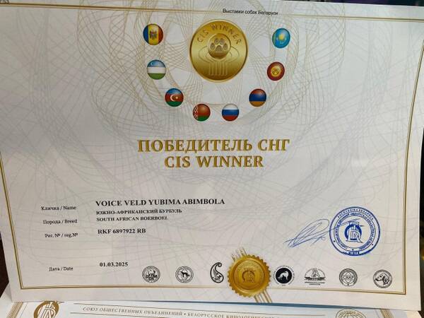 https://upforme.ru/uploads/0014/0b/48/2/t484911.jpg